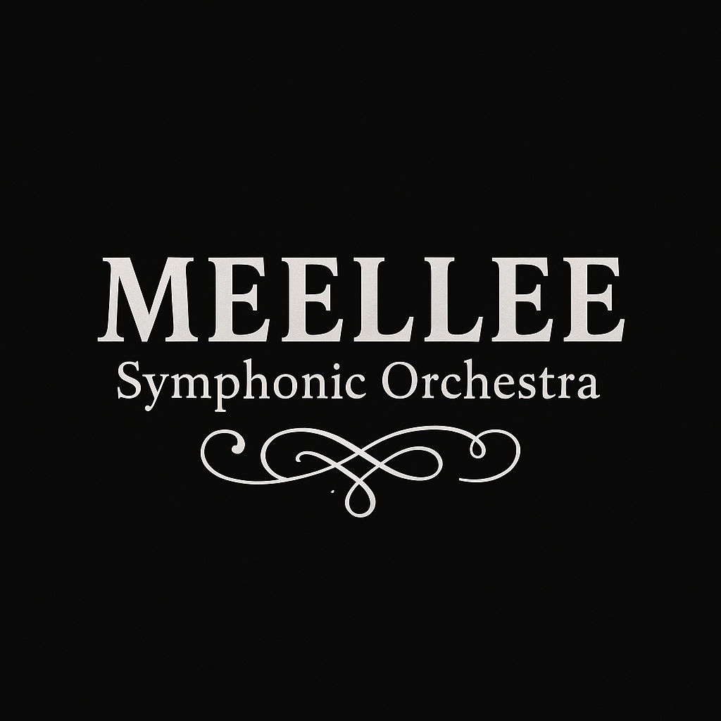 MEELLEE Orchestra
